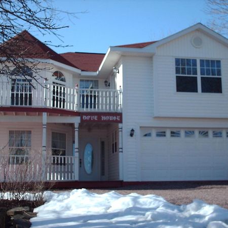 Dove House Bed & Breakfast Harbourside North Sydney Exterior foto