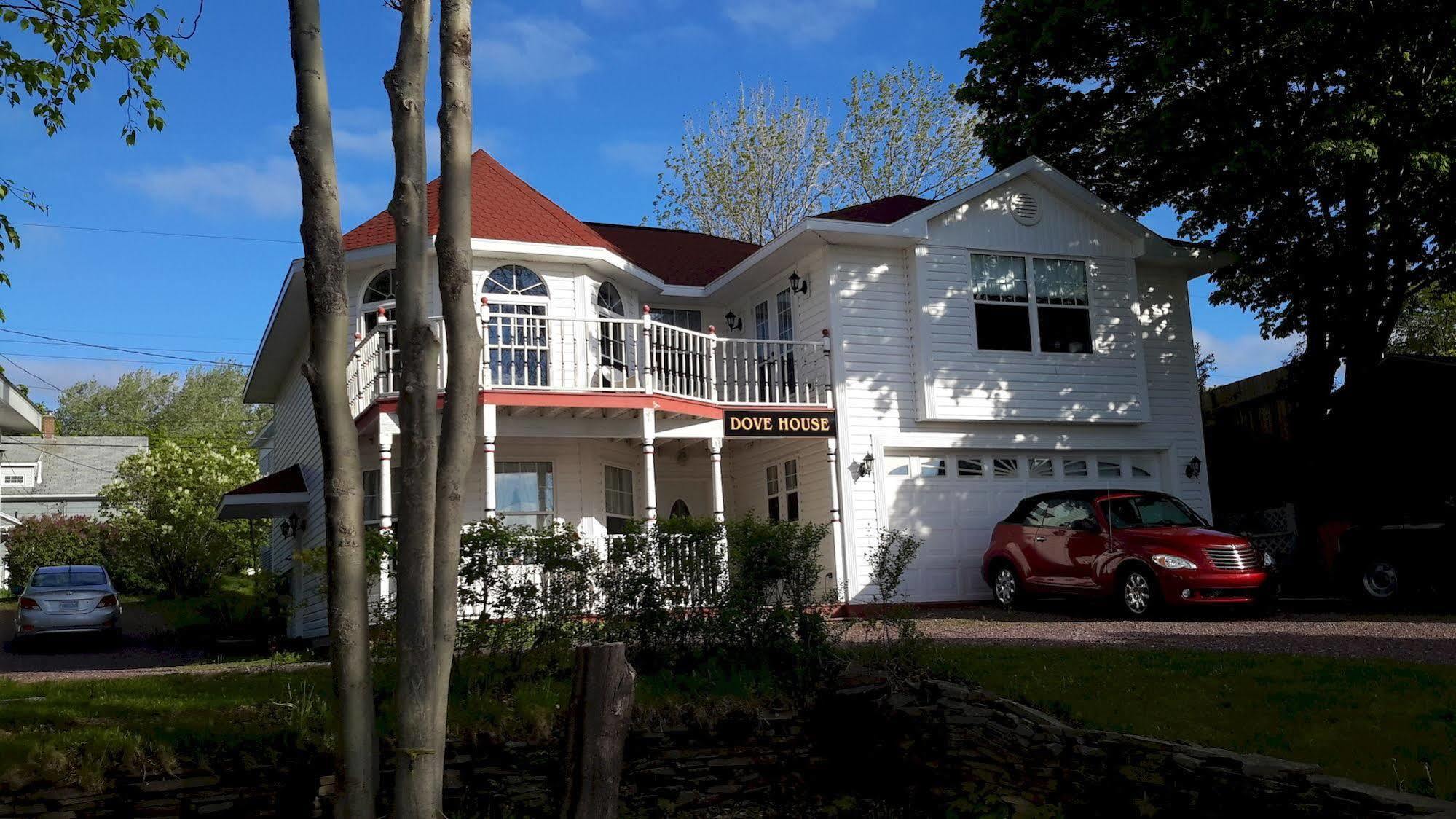 Dove House Bed & Breakfast Harbourside North Sydney Exterior foto